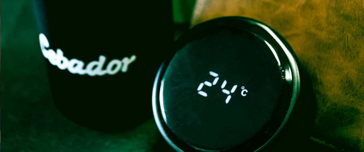 Thermosflasche 5.0 – ein perfektes Gadget für Mate Tee schon im Verkauf!