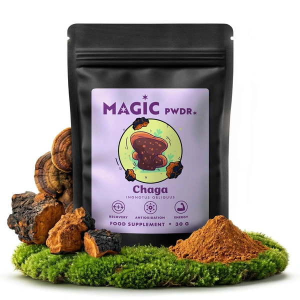 Magic Pwdr chaga Pilzpräparat