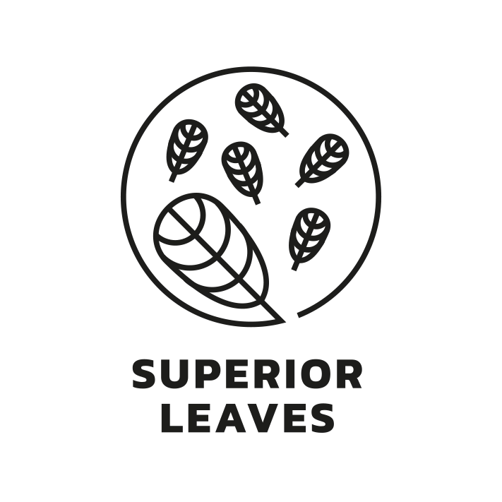 Superior Leaves
