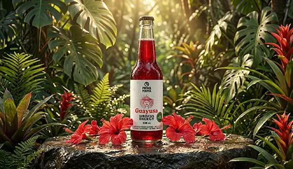 Eine neue Art, neue Energie zu tanken – entdecken Sie Guayusa Pachamama Cold Brew