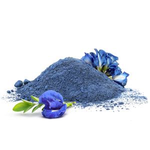 Mary Rose – Blue Matcha Alternative – Butterfly Pea Tea (Pulver) 100 g