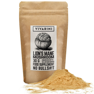 Vivarini – Lion’s Mane – Igelstachelbart 30 g