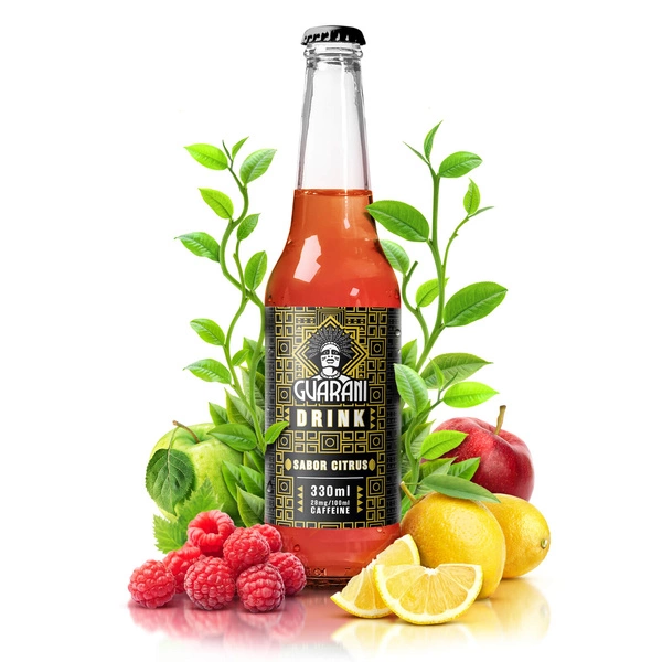 Fruit Drink Guarani – Fruchtgetränk mit Mate Tee – Sabor Citrus 330 ml
