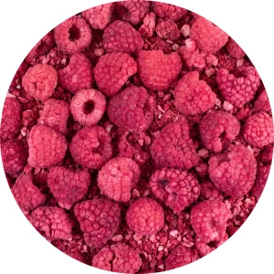 FiloLilo – Gefriergetrocknete Himbeere 100 g