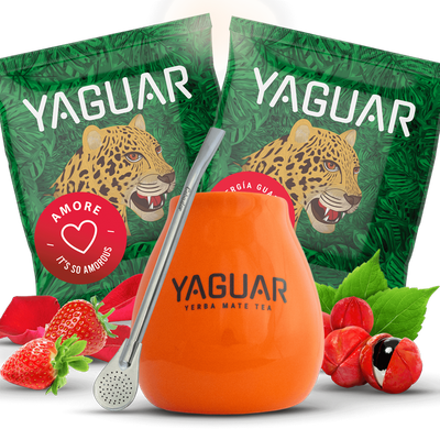 Yerba Mateo Set + Bombilla für den Anfang