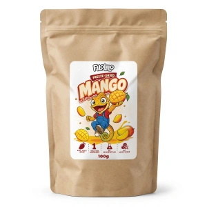 FiloLilo – Gefriergetrocknete Mango (Scheiben) 100 g