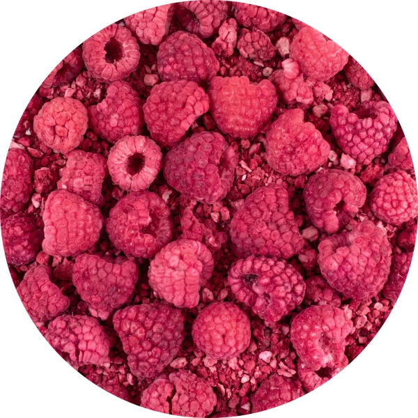 FiloLilo – Gefriergetrocknete Himbeere 100 g