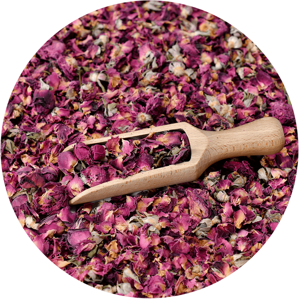Mary Rose – Rote Rose 100 g – Rosenblüte
