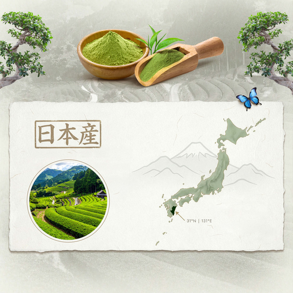 Mary Rose – Japanischer Grüner Tee Matcha Tenno (BIO) Zeremoniell 30 g
