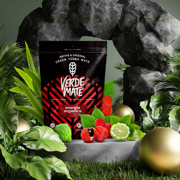 Trio Yerba Verde Mate auf START für Anfänger