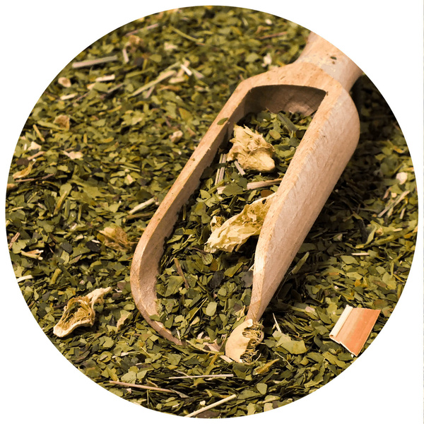 Geschenkset Mate Tee Verde Mate Cactus 0,5kg 