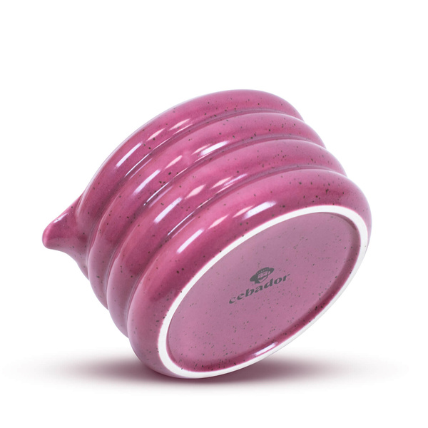 Set zur Zubereitung von Pink Matcha