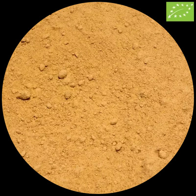 Vivarini - ökologischer Ingwer (gemahlen) 50 g