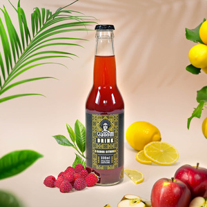 Guarani Drink – Kalter Aufguss aus Mate Tee – Sabor Citrus 330 ml