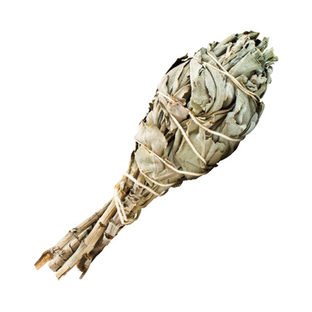 Palo Santo Weihrauch 50g weißer Salbei großes Set
