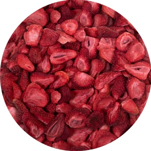 FiloLilo Set mit gefriergetrockneten Früchten 5×20g