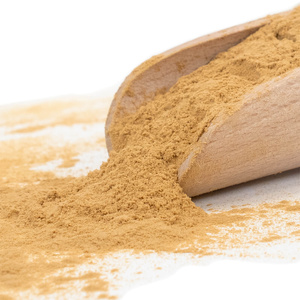 Magic Pwdr – Reishi – Glänzender Lackporling 100 g