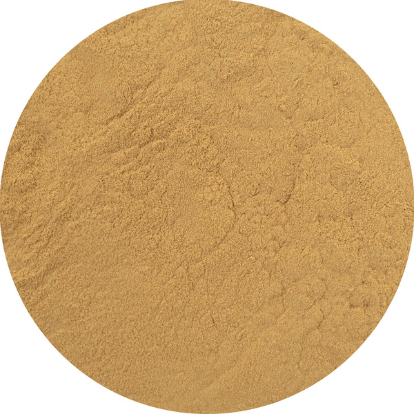 Magic Pwdr – Reishi – Glänzender Lackporling 30 g