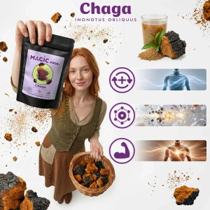 Magic Pwdr – Chaga – Schiefer Schillerporling 50 g
