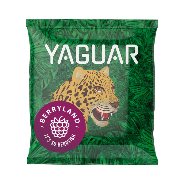 Satz Yerba Mate Yaguar 10x50g Kalebasse Bombilla