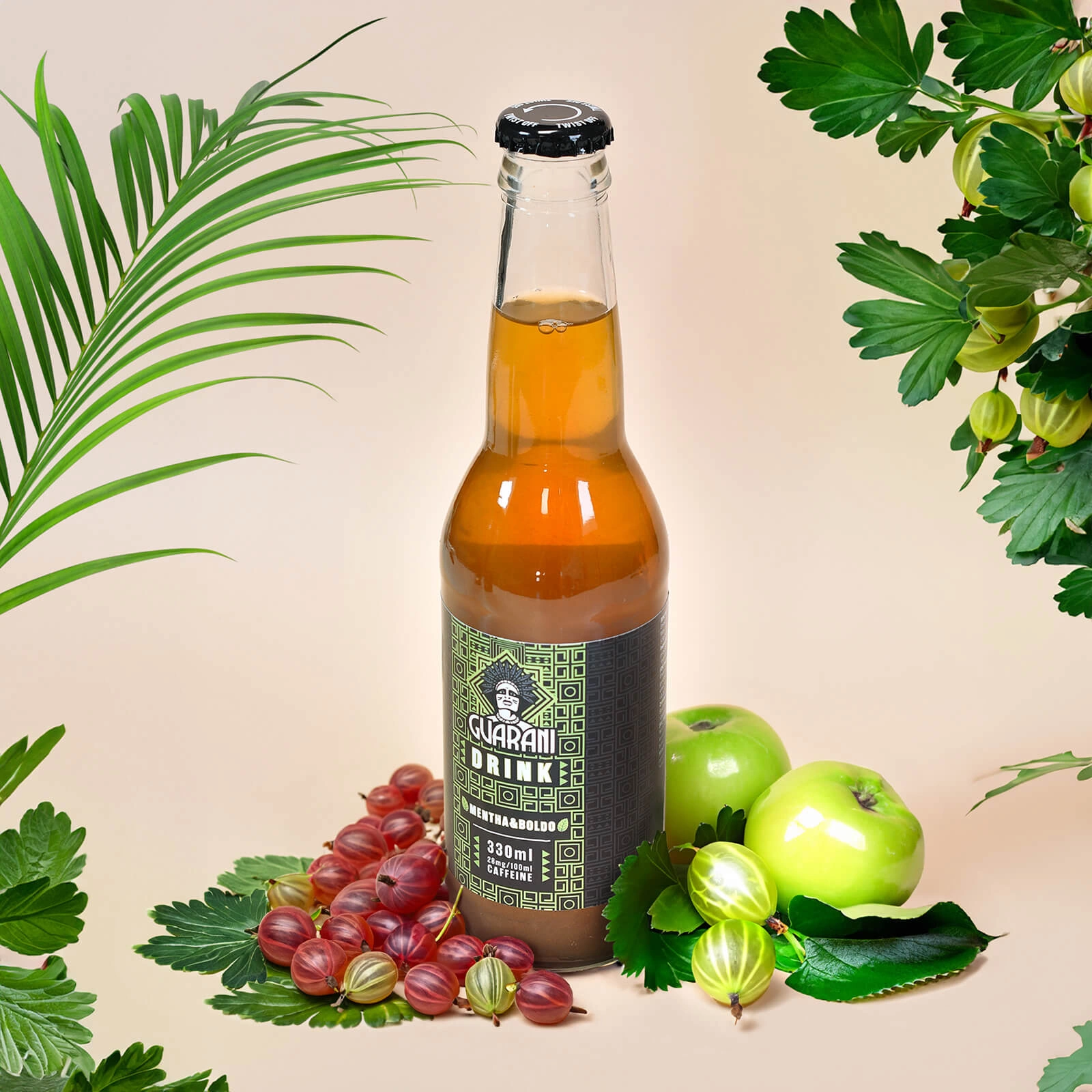 Guarani Drink Mentha & Boldo