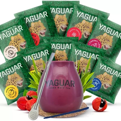 Satz Yerba Mate Yaguar 10x50g Kalebasse Bombilla