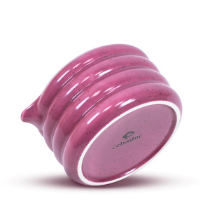 Set zur Zubereitung von Purple Matcha