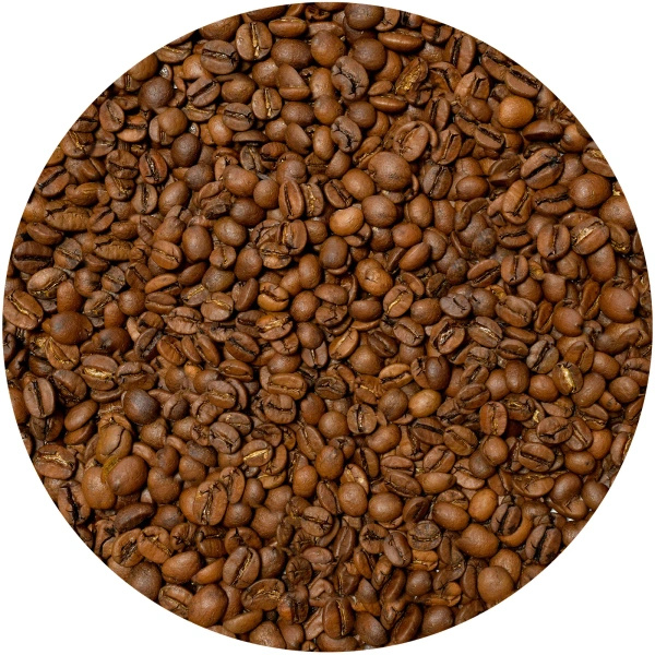 Bro Coffee Roastery – Bohnenkaffee Brazil Samba Premium 400 g