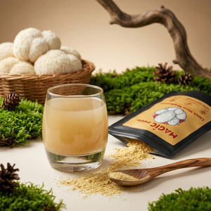 Magic Pwdr – Lion’s Mane – Igelstachelbart 30 g