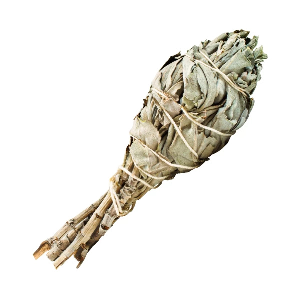 Palo Santo Weihrauch 50g weißer Salbei großes Set