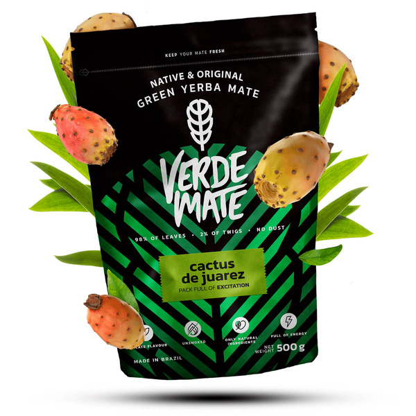 Geschenkset Mate Tee Verde Mate Cactus 0,5kg 