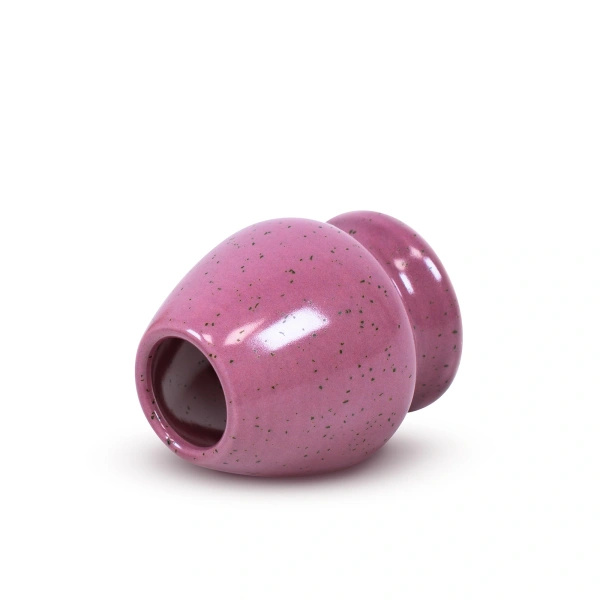 Geschenkset für bunten Matcha Latte: Matcha + Pink Matcha + Zubehör
