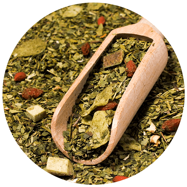 Trio Yerba Verde Mate auf START für Anfänger