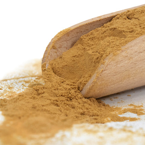 Magic Pwdr – Chaga – Schiefer Schillerporling 100 g