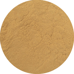 Magic Pwdr – Reishi – Glänzender Lackporling 30 g